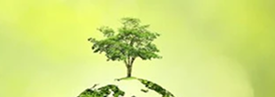 Ayurveda in Modern Avatar: The Rise of Bioavailable Herbal Granules